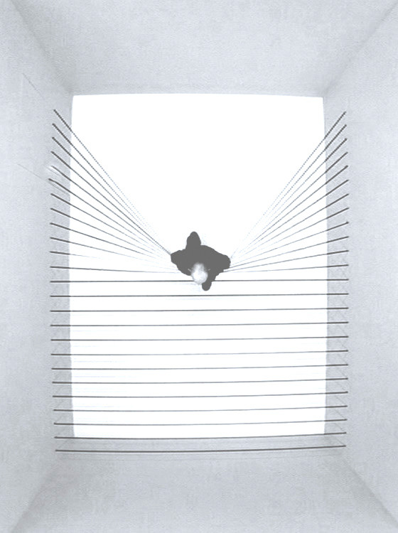 Archillect ID 50334