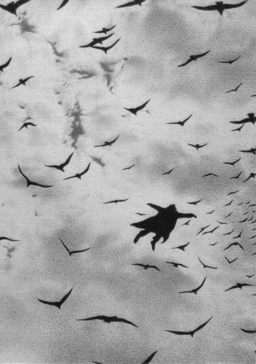 Archillect ID 50342