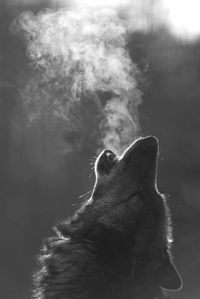 Archillect ID 50352