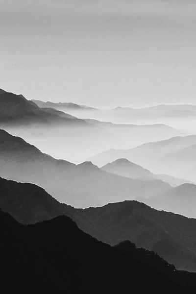 Archillect ID 50484