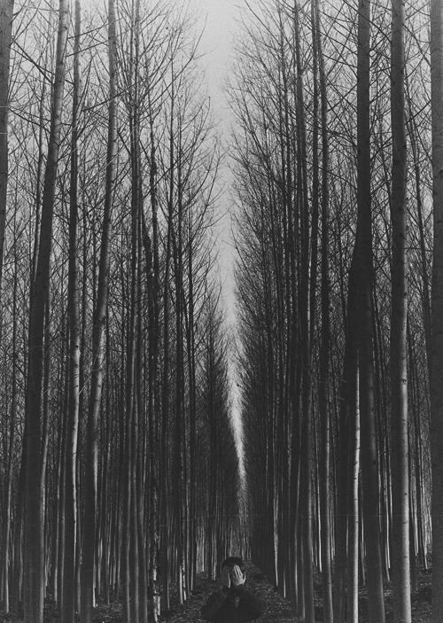 Archillect ID 50489