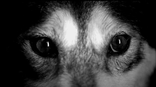 Archillect ID 50498