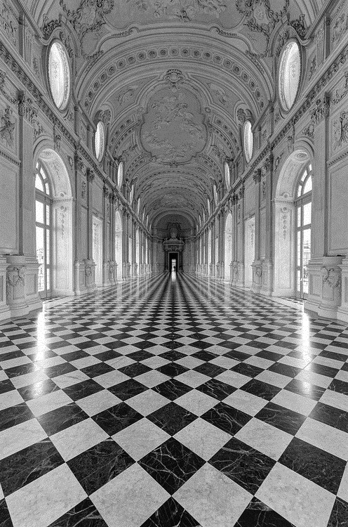 Archillect ID 50501