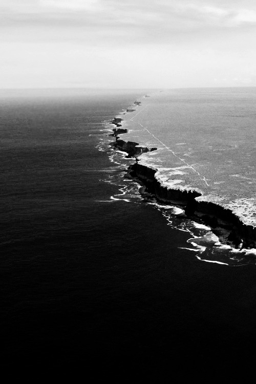 Archillect ID 50564