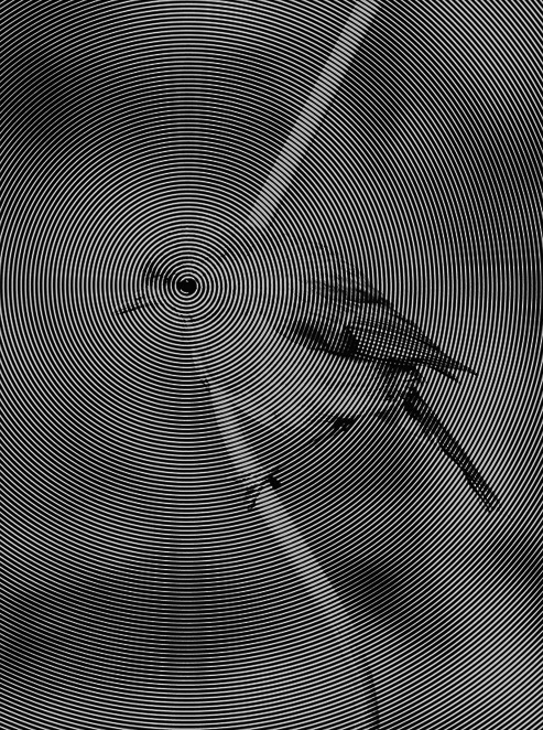 Archillect ID 50586