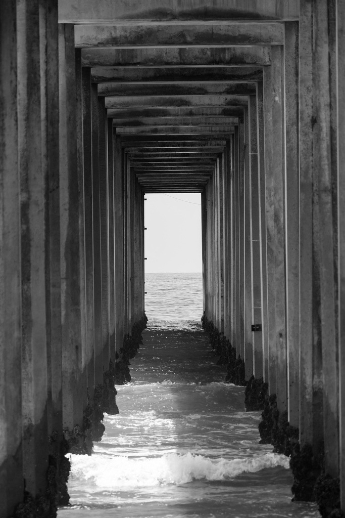 Archillect ID 50616