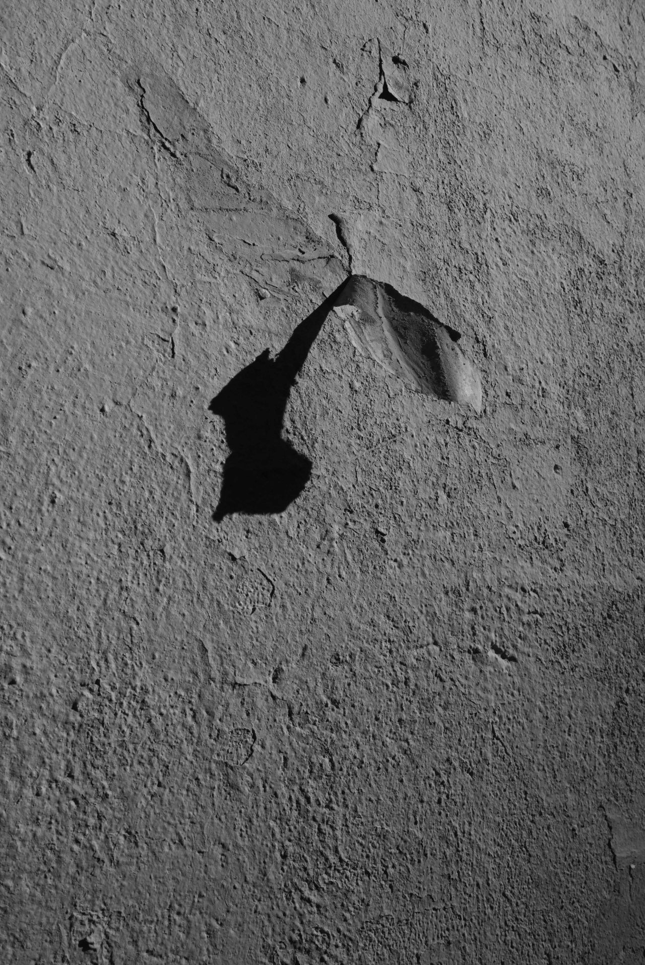 Archillect ID 50667