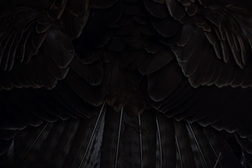 Archillect ID 50671