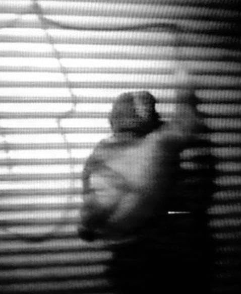 Archillect ID 50695