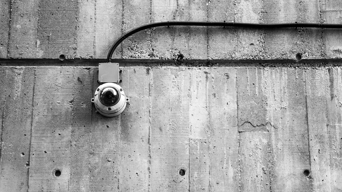 Archillect ID 50836