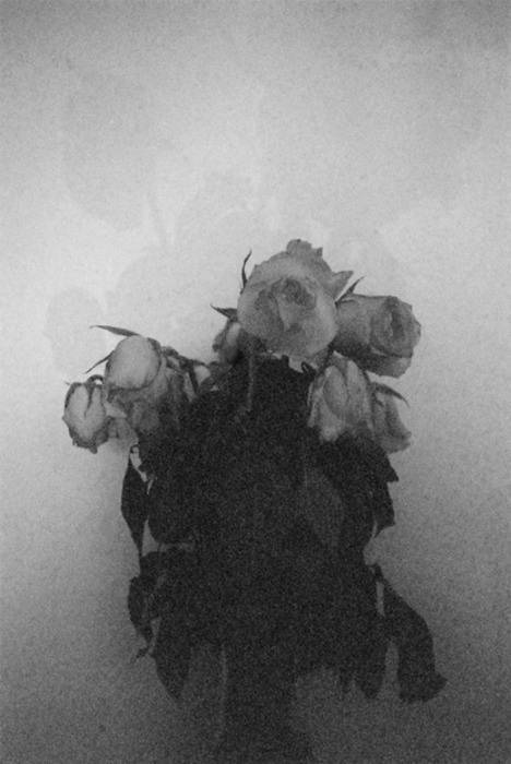 Archillect ID 50853