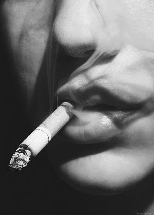 Archillect ID 50860