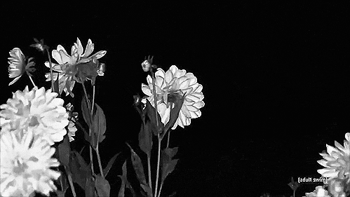 Archillect ID 50881
