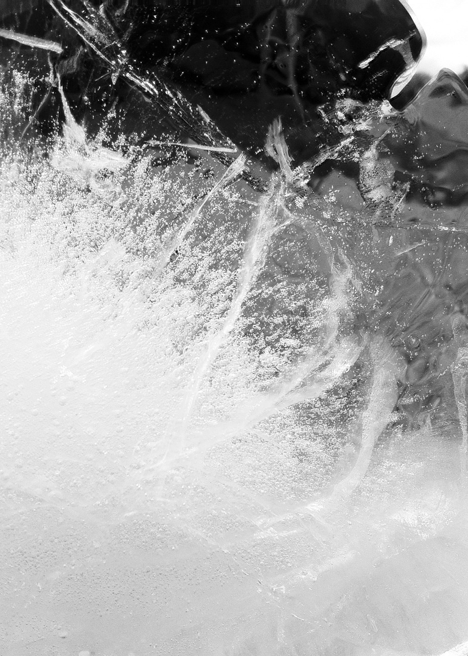 Archillect ID 50902