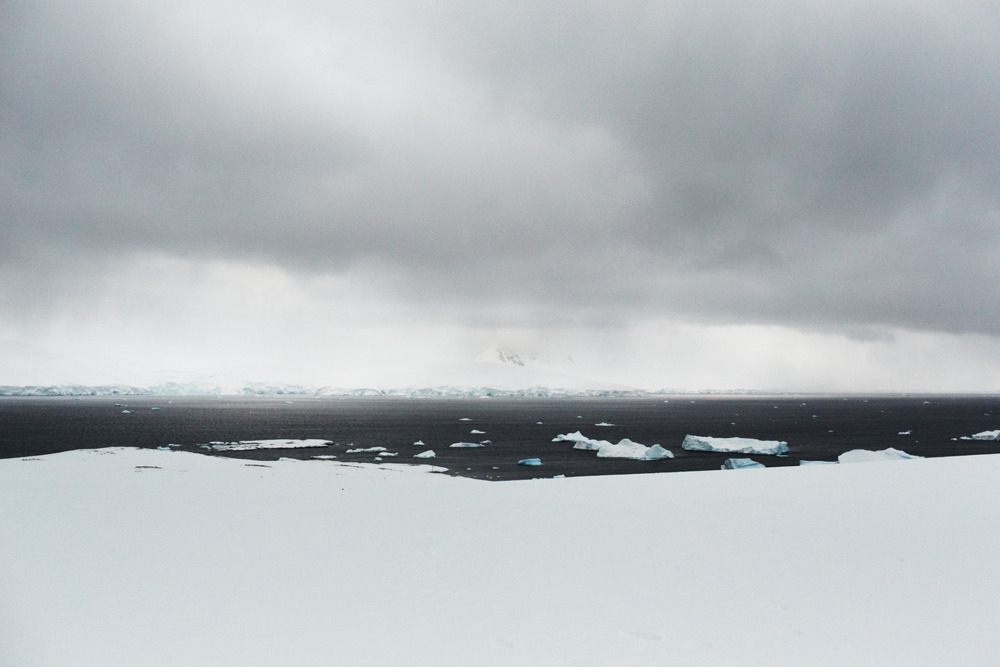 Archillect ID 50905