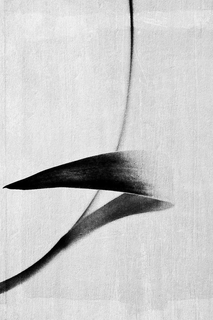 Archillect ID 50946