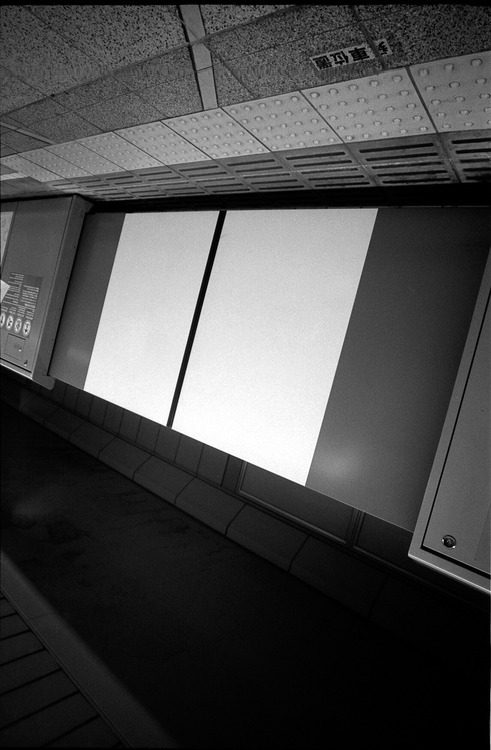 Archillect ID 50954