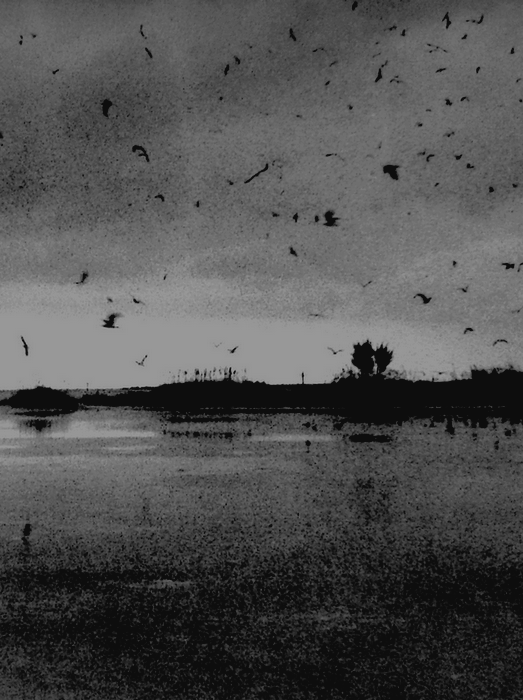 Archillect ID 50976