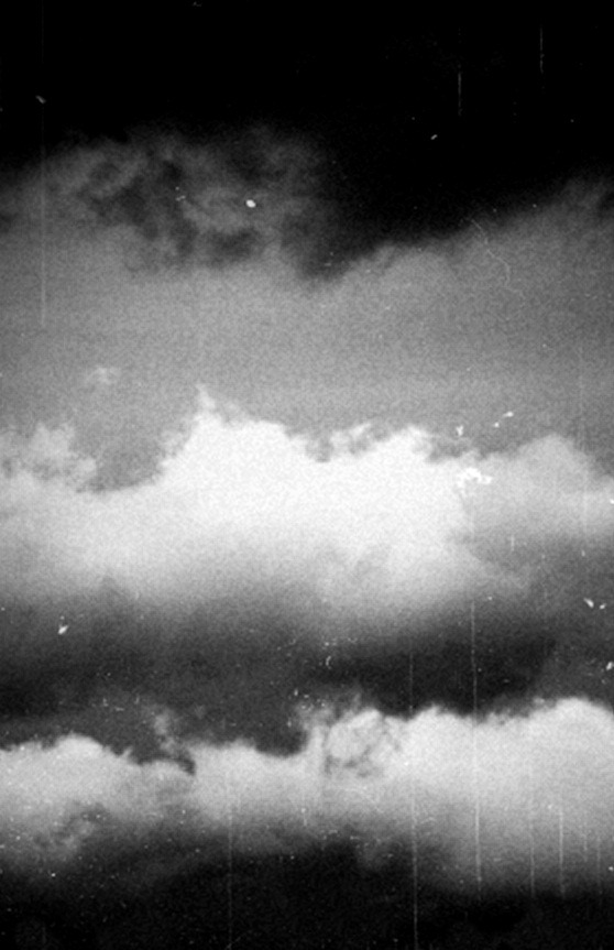 Archillect ID 50977
