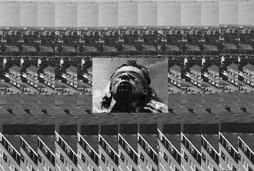 Archillect ID 51003