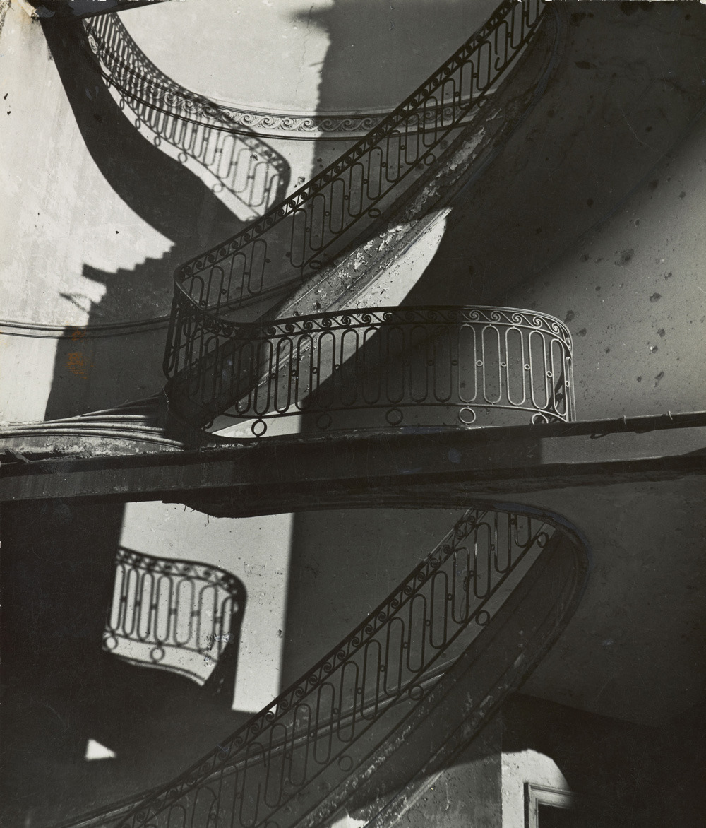 Archillect ID 51009