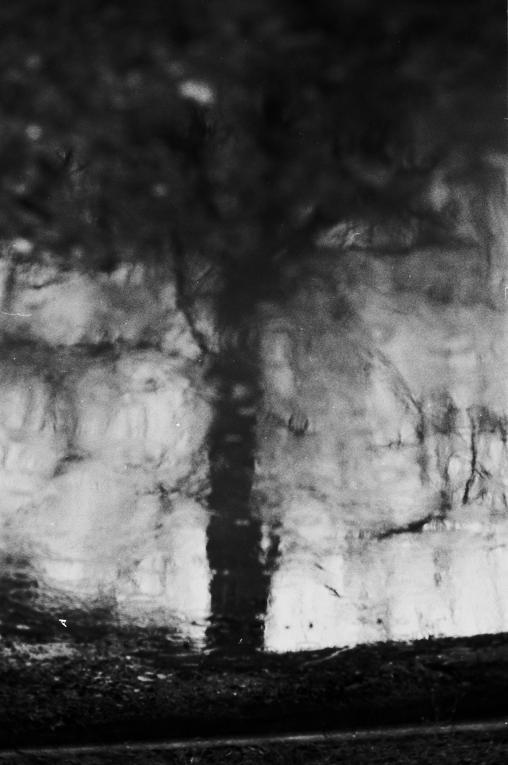 Archillect ID 51088