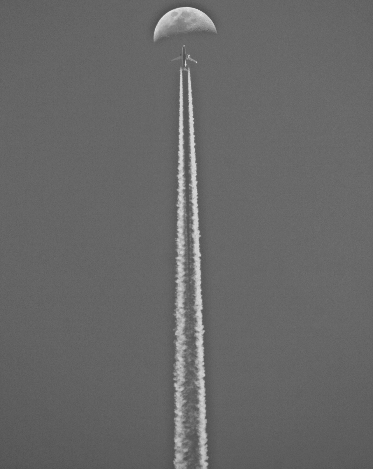 Archillect ID 51103