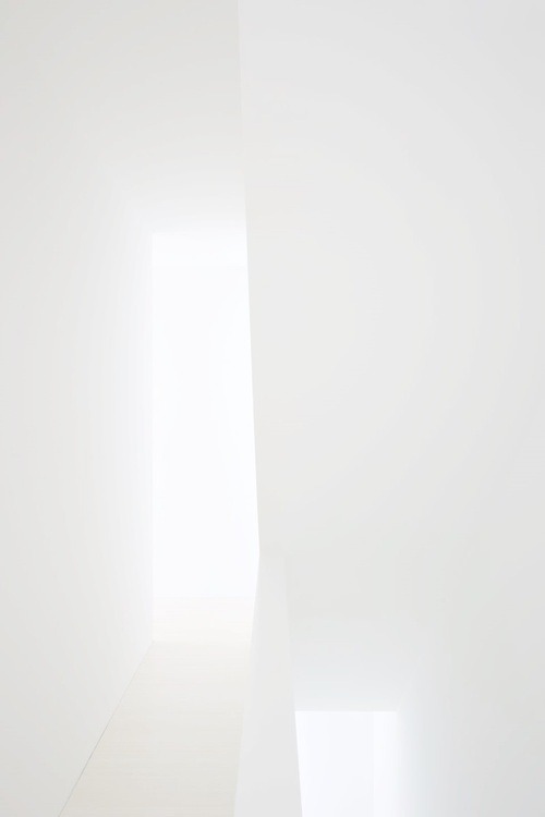 Archillect ID 51219