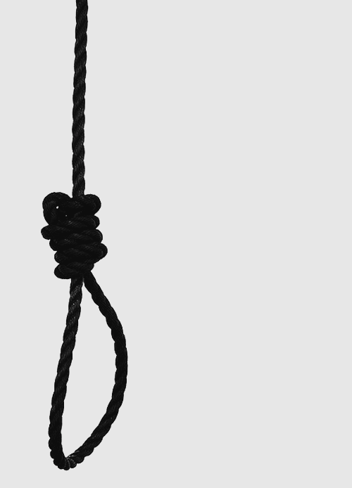Archillect ID 51232