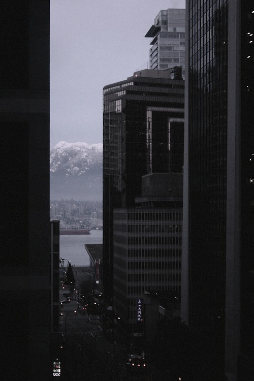 Archillect ID 51288