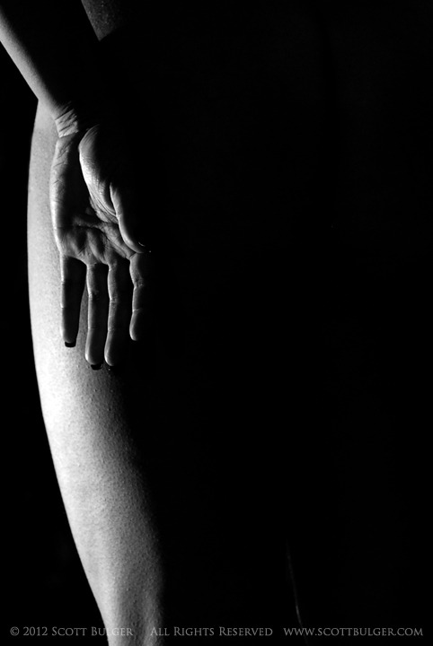 Archillect ID 51336