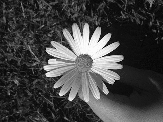 Archillect ID 51345