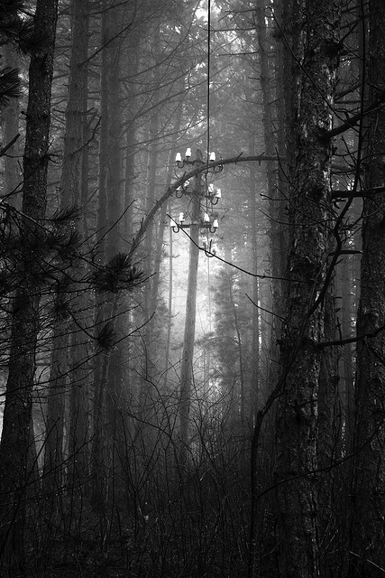 Archillect ID 51390