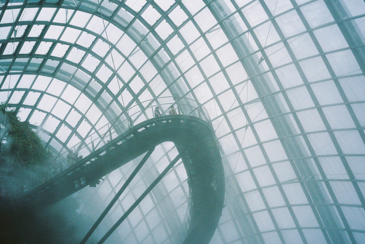 Archillect ID 51397