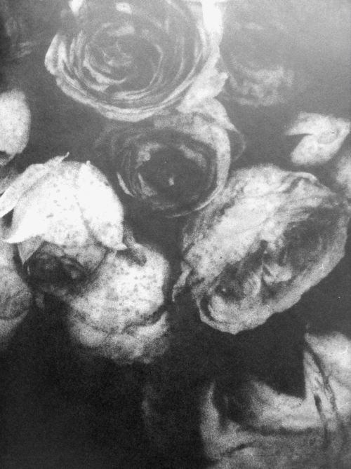 Archillect ID 51456
