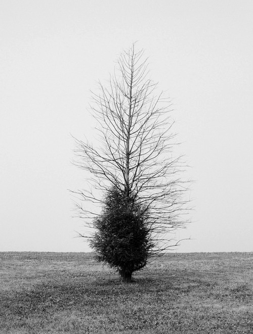 Archillect ID 51547