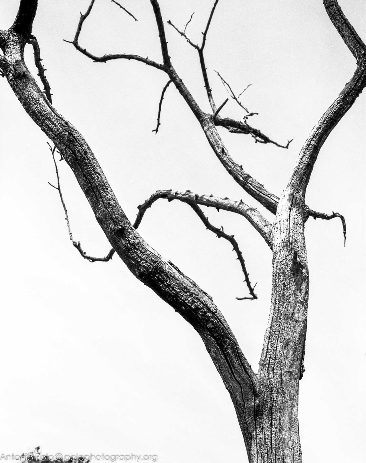 Archillect ID 51661