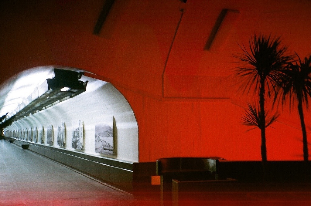 Archillect ID 51673