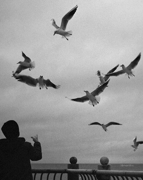 Archillect ID 51710