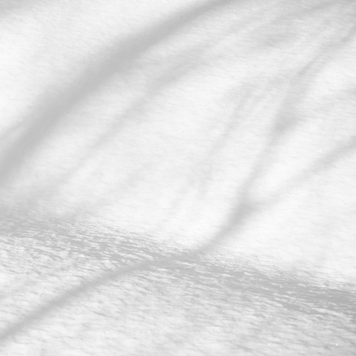 Archillect ID 51743
