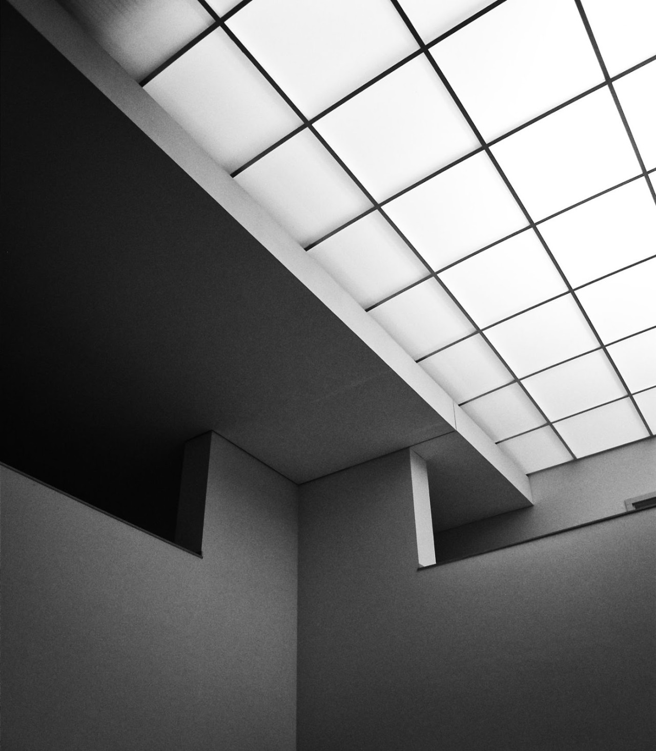 Archillect ID 51761