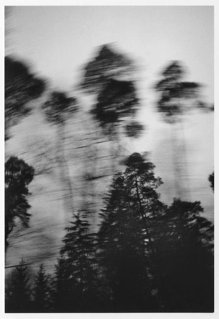 Archillect ID 51826