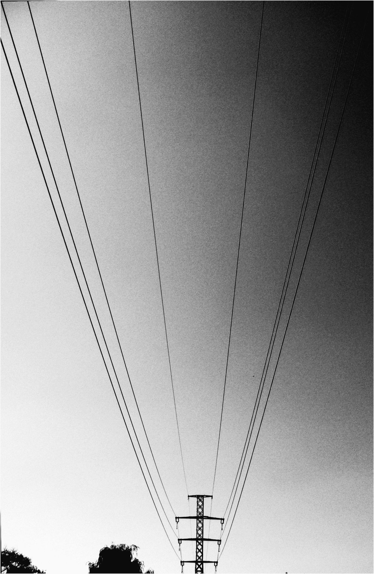 Archillect ID 51849