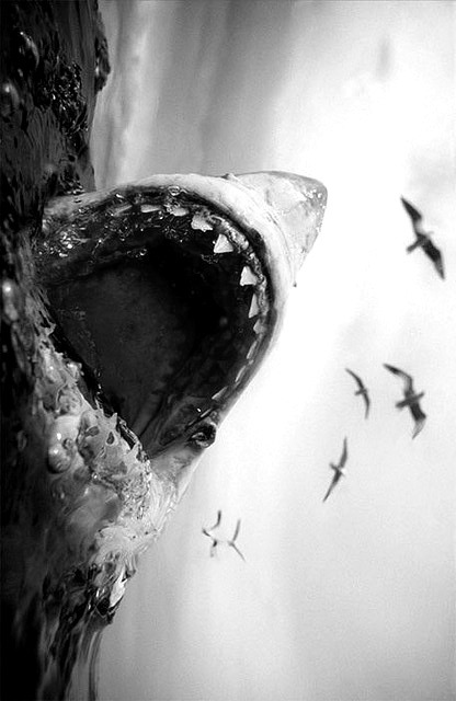 Archillect ID 51874