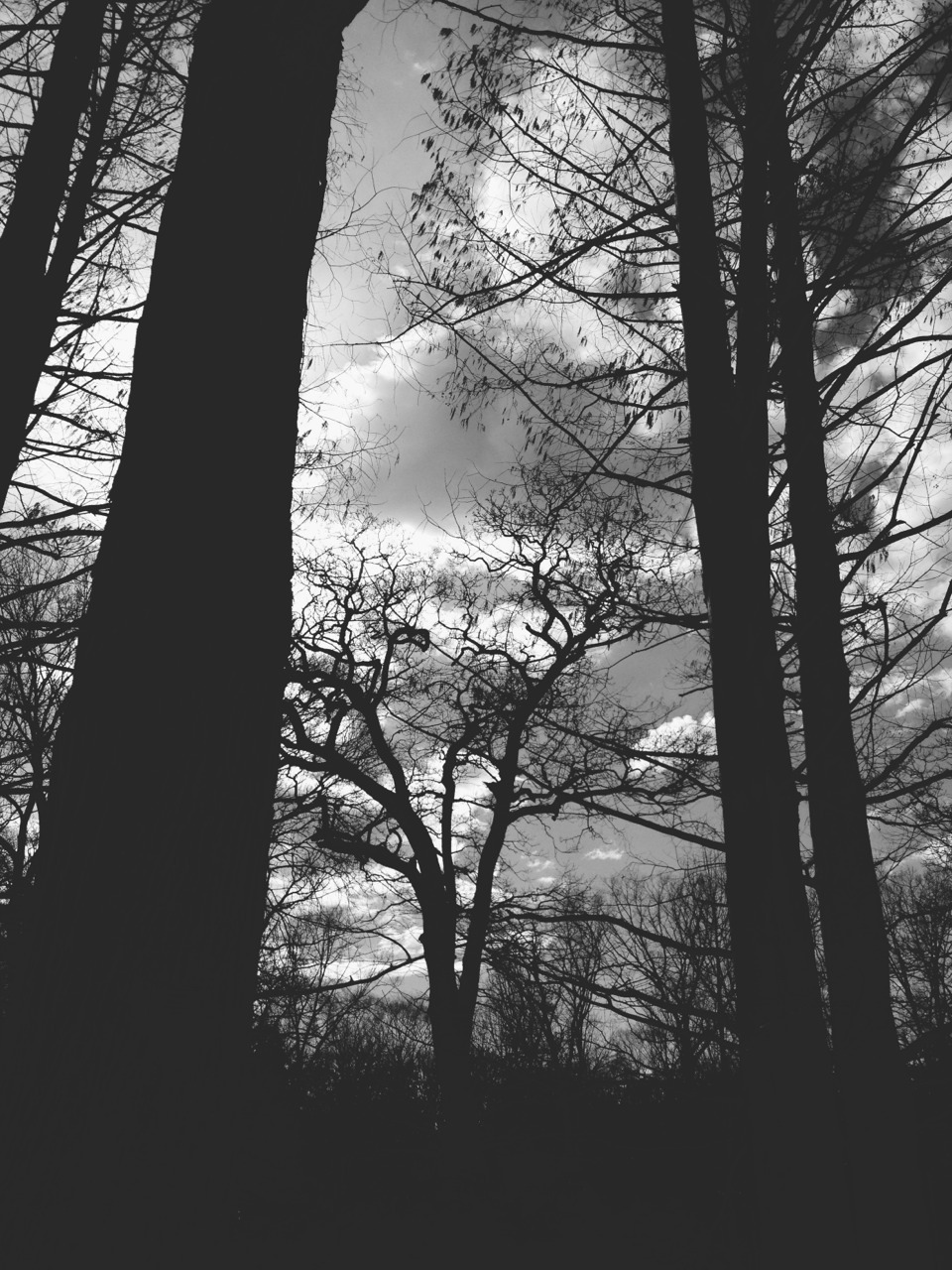 Archillect ID 51928