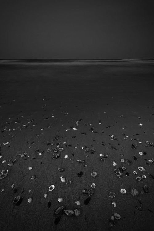 Archillect ID 51938
