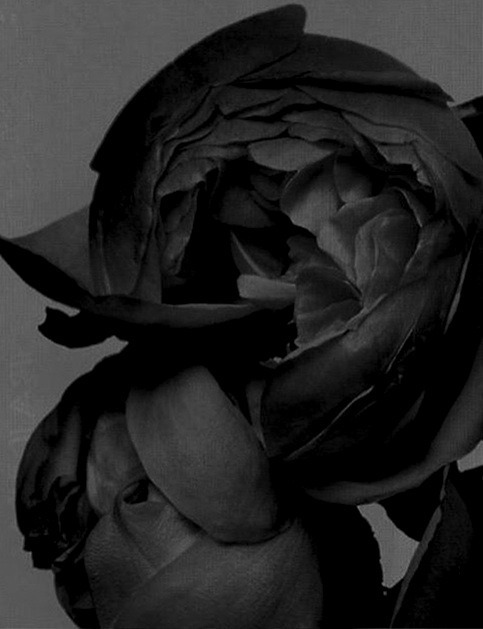 Archillect ID 51953