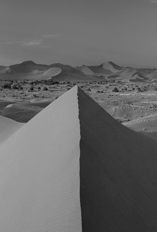 Archillect ID 52028