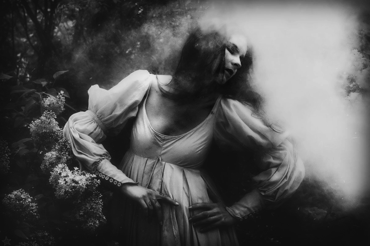 Archillect ID 52113