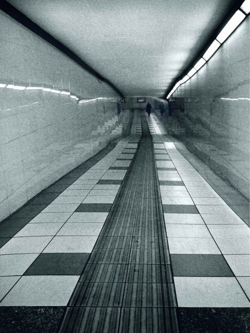Archillect ID 52263